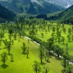 RIHA Film / Constantin Film Österreich