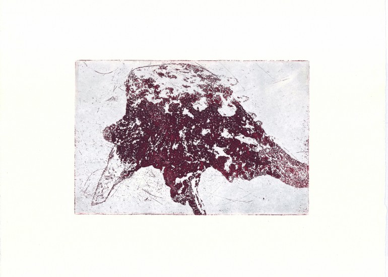 Ausstellung | BERND KOLLER „BAUMDENKEN“