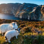 RoNeu_Irland_031